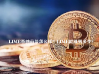 LIME币的前景怎么样？LIME币能涨到多少？