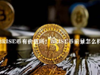 BRISE币有价值吗？BRISE币前景怎么样？