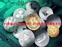 XVS币适合长期持有吗？XVS币发行总量是多少？