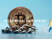 XDC币能涨到多少？XDC币前景怎么样？