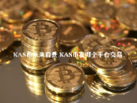 KAS币未来前景 KAS币在哪个平台交易