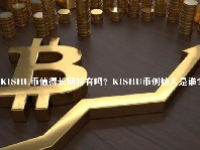 KISHU币值得长期持有吗？KISHU币创始人是谁？