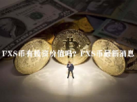 FXS币有投资价值吗？FXS币最新消息