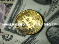 SHIB币最新消息热议 SHIB币未来前景怎么样