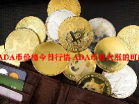 ADA币价格今日行情 ADA币有大涨的可能吗？