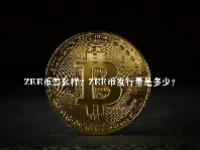 ZEE币怎么样？ZEE币发行量是多少？