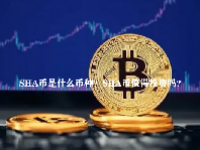 SHA币是什么币种？SHA币值得投资吗？