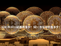 XDC币2024能涨到多少？XDC币原始价是多少？