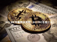 BCUBE币值得投资吗？BCUBE币是什么？