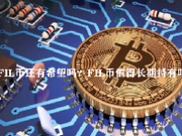 FIL币还有希望吗？FIL币值得长期持有吗？