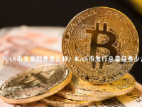 KAS币未来前景怎么样？KAS币发行总量是多少？