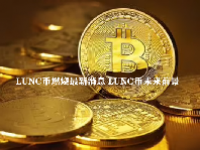 LUNC币燃烧最新消息 LUNC币未来前景