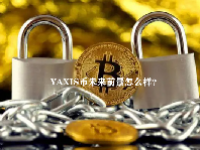 YAXIS币未来前景怎么样？