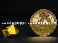 XAUR币能涨到多少？XAUR币未来前景怎么样？
