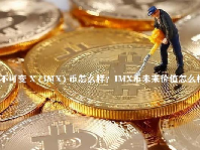 不可变 X (IMX) 币怎么样？IMX币未来价值怎么样？