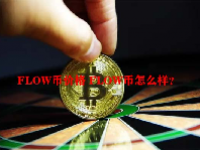 FLOW币价格 FLOW币怎么样？