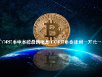 CORE币中本聪最新消息 CORE币会涨到一万元一个吗