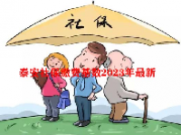 泰安社保缴费基数2023年最新