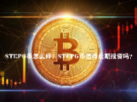 STEPG币怎么样？STEPG币值得长期投资吗？