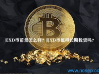 EXD币前景怎么样？EXD币值得长期投资吗？