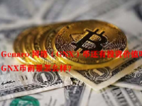 Genaro 网络（GNX）币还有投资价值吗？GNX币前景怎么样？