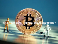 SBTC币怎么样？SBTC币未来发展前景如何？