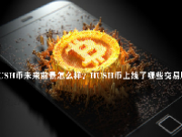 HUSH币未来前景怎么样？HUSH币上线了哪些交易所？