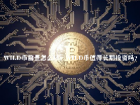 WILD币前景怎么样？WILD币值得长期投资吗？