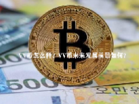 VV币怎么样？VV币未来发展前景如何? 