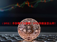 （DNX）币在哪个交易所？DNX币前景怎么样？