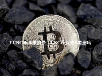 LUNC币未来前景 LUNC币长到1美金吗