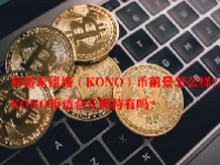 科诺米网络（KONO）币前景怎么样？KONO币适合长期持有吗？