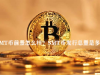 SMT币前景怎么样？SMT币发行总量是多少？