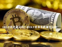BELT币还能买吗？BELT币未来前景怎么样？