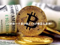 COP币一个多少钱？COP币怎么获得？