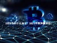 BIFI币有什么前景？BIFI币值得投资吗？