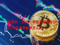奇亚籽（XCH）币发行量是多少？XCH币未来前景怎么样？