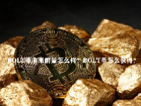 BOLT币未来前景怎么样？BOLT币怎么获得？