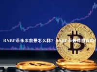 BNBP币未来前景怎么样？BNBP币值得投资吗？