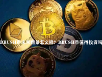 BRUSH币未来前景怎么样？BRUSH币值得投资吗？