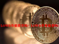 LOWB币值得买吗？LOWB币有前景吗？