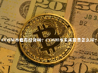 COSM币值得投资吗？COSM币未来前景怎么样？
