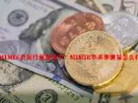 MIMIR币发行量是多少？MIMIR币未来前景怎么样？