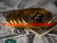 RUX币币价 RUX币未来前景怎么样？