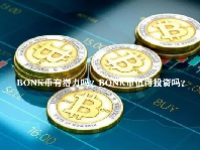 BONK币有潜力吗？BONK币值得投资吗？