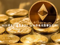 XCH币发行量是多少？XCH币未来前景怎么样？