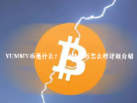 YUMMY币是什么？YUMMY币怎么样详细介绍
