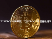 WIFEDOGE在哪买？WIFEDOGE币值得投资吗？