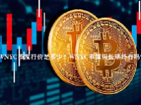 WNYC币发行价是多少？WNYC币值得长期持有吗？