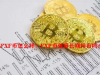 FXF币怎么样？FXF币值得长期持有吗？
